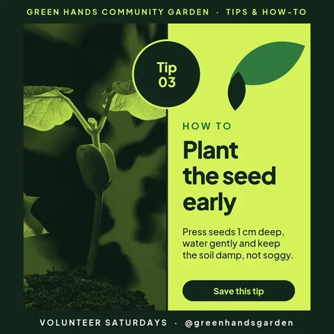Seedling Seam Tip Frame – Instagram post template