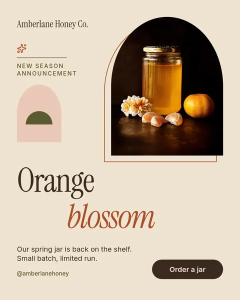 Amber Arch Z Announcement – Instagram post template