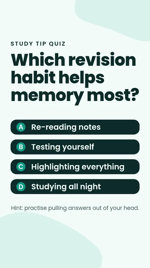 Study Habits Quiz Story – Instagram story template