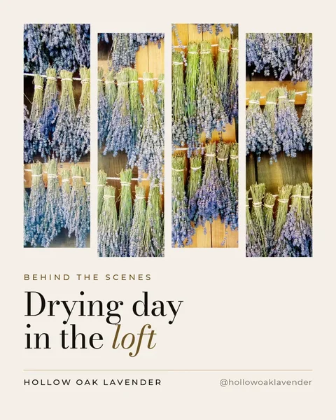 Loft Drying Slices – Instagram post template