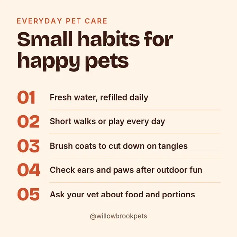 Happy Paws Care Tips – Instagram post template