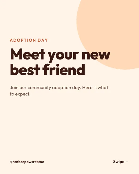 Adoption Day Roundup – Instagram carousel template, 6 pages