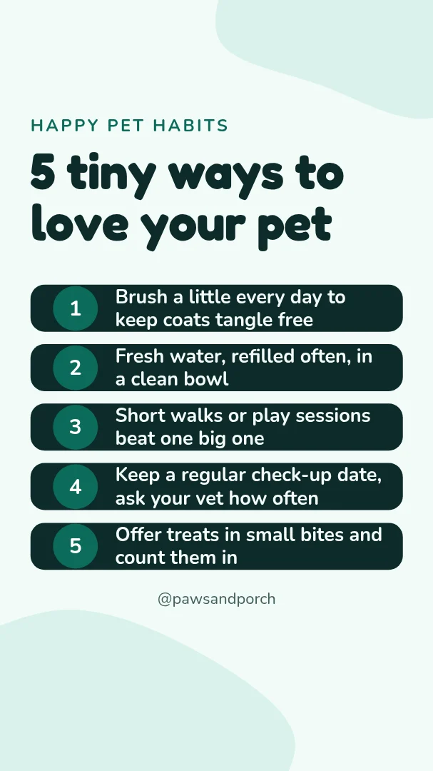 Paw Care Story Tips – Instagram story template