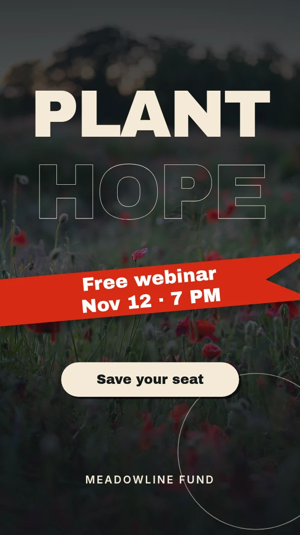 Poppy Ribbon Plant Hope – Instagram story template