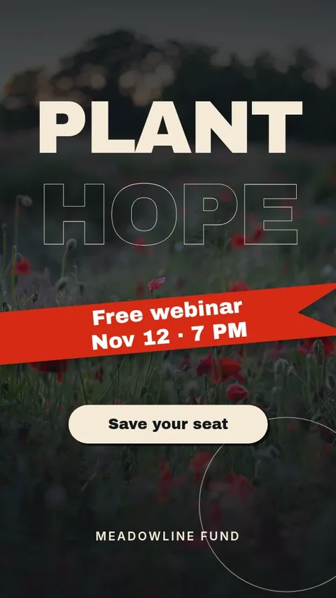 Poppy Ribbon Plant Hope – Instagram story template