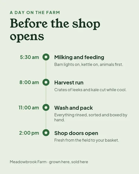 Dawn Chores Timeline – Instagram post template